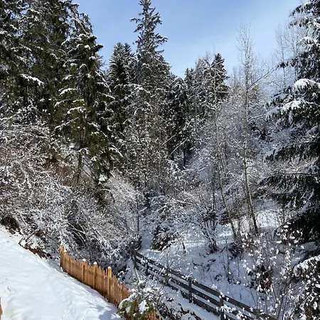Apartment Dolomiti *